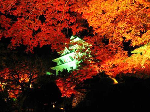 Asano Ryokan Gujo Ngoại thất bức ảnh